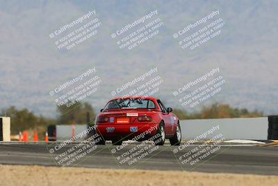 media/Feb-17-2024-Nasa AZ (Sat) [[ca3372609e]]/4-Race Group A/Session 2 Qualify (Turn 16)/